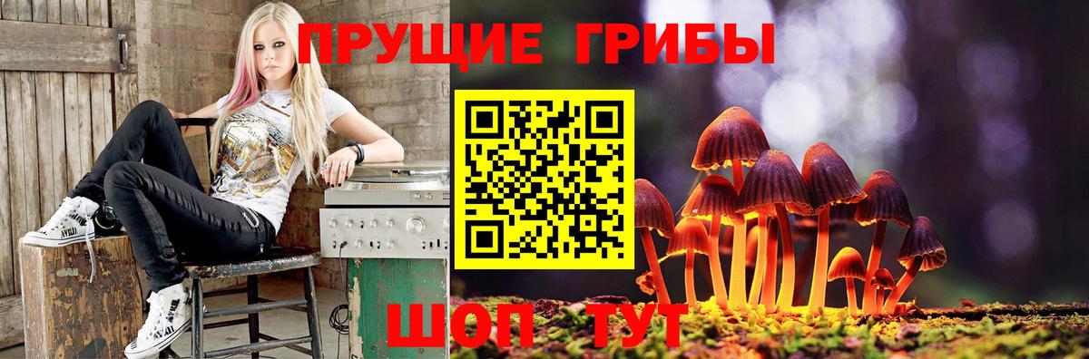 Екатеринбург  Псилоцибиновые грибы Cubensis  Галлюциногенные грибы прущие грибы  Вход с VPN 