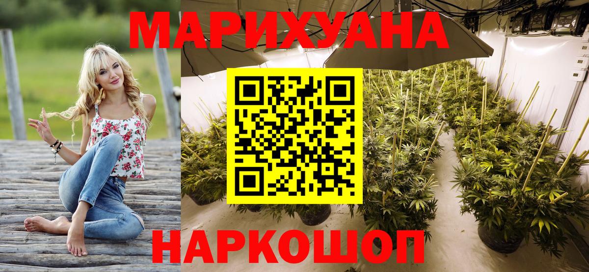 Конопля сатива Екатеринбург